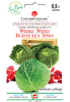 Віденська зима