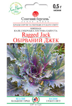 Обірваний Джек