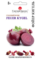 Фойер Кигель