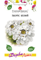 Іберіс Білий