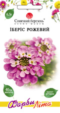Іберіс Рожевий