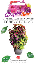 Колеус Блюме суміш Класичних сортів