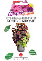 Колеус Блюме суміш Класичних сортів