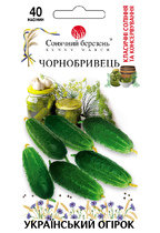 Чорнобривець