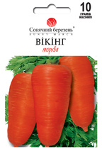 Вікінг (Німеччина)